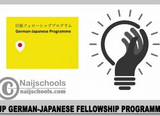 IJP German-Japanese Fellowship Programme 2023