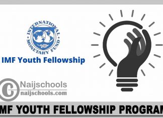 IMF Youth Fellowship Program 2023