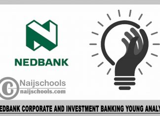 Nedbank Corporate and Investment Banking Young Analys 2023