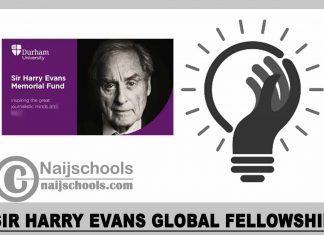 Sir Harry Evans Global Fellowship 2023