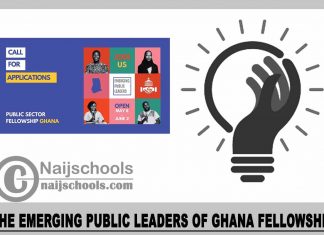 The Emerging Public Leaders of Ghana Fellowship 2023