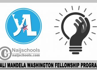 YALI Mandela Washington Fellowship Program 2025