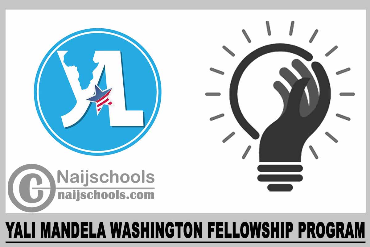 YALI Mandela Washington Fellowship Program 2024 NAIJSCHOOLS