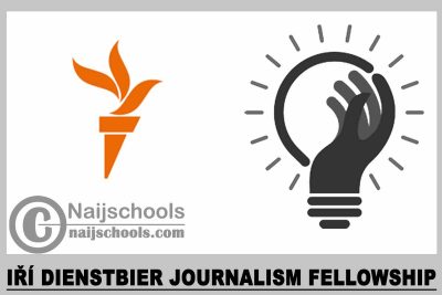 iří Dienstbier Journalism Fellowship 2023