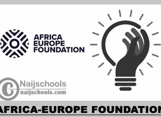 Africa-Europe Foundation 2023