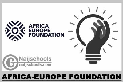 Africa-Europe Foundation 2023