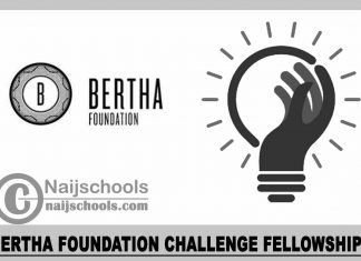 Bertha Foundation Challenge Fellowships 2023