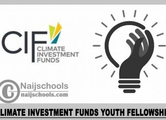 Climate Investment Funds Youth Fellowship 2023