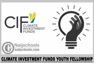 Climate Investment Funds Youth Fellowship 2023
