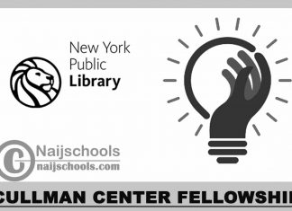 Cullman Center Fellowship 2024