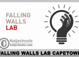 Falling Walls Lab Capetown 2023
