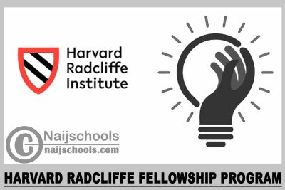 Harvard Radcliffe Fellowship Program 2024