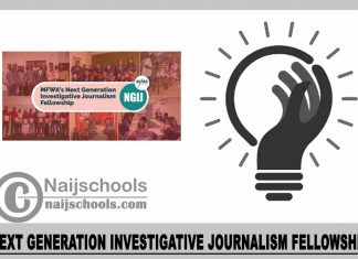 Next Generation Investigative Journalism Fellowship 2023