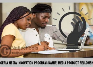 Nigeria Media Innovation Program (NAMIP) Media Product Fellowship 2023