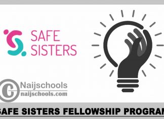 Safe Sisters Fellowship Program 2023