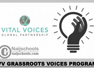 VV Grassroots Voices Program 2023