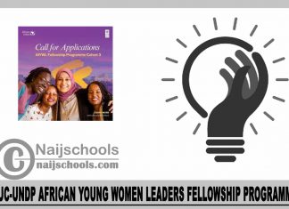 AUC-UNDP African Young Women Leaders Fellowship Programme