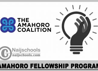 Amahoro Fellowship Program