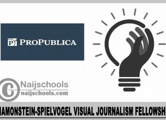 Diamonstein-Spielvogel Visual Journalism Fellowship 2023