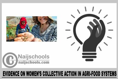  Evidence on Women’s Collective Action in Agri-food Systems