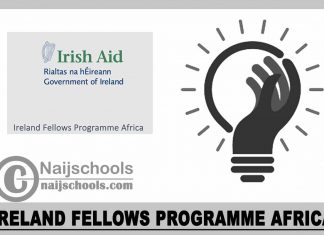Ireland Fellows Programme Africa 2024