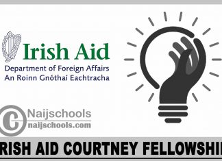 Irish Aid Courtney Fellowship 2024