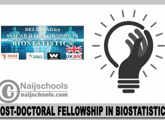 Post-Doctoral Fellowship in Biostatistics 2024