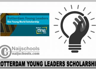 Rotterdam Young Leaders Scholarship 2023