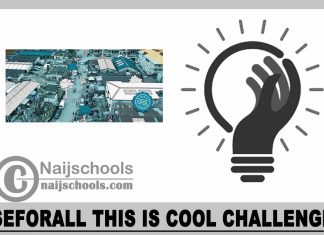 SEforALL This Is Cool Challenge 2023