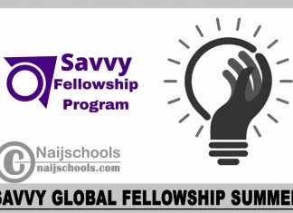 Savvy Global Fellowship Summer 2023