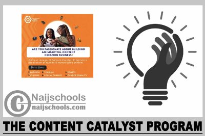 The Content Catalyst Program