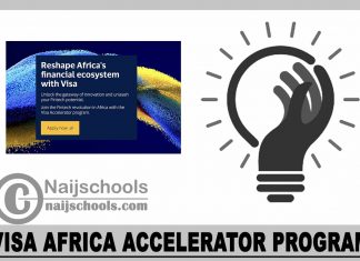 Visa Africa Accelerator Program