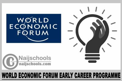 World Economic Forum (WEF) Early Career Programme