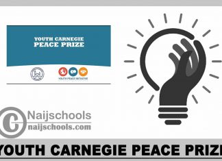 Youth Carnegie Peace Prize 2023