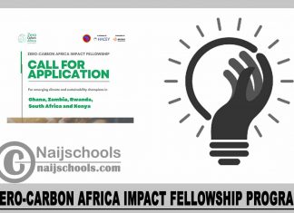 Zero-Carbon Africa Impact Fellowship Program 2023