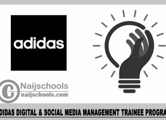 Adidas Digital & Social Media Management Trainee Program