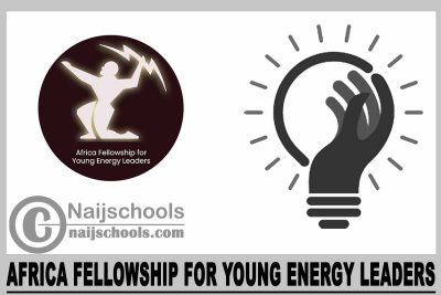Africa Fellowship for Young Energy Leaders