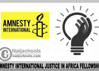 Amnesty International Justice in Africa Fellowship