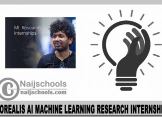 Borealis AI Machine Learning Research Internship