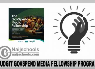 BudgIT GovSpend Media Fellowship Program