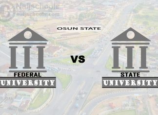 Osun Federal vs State University; Which is Better? Check!