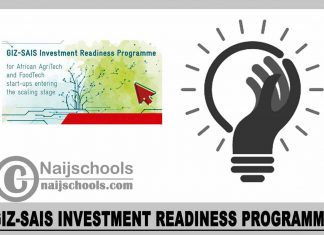 GIZ-SAIS Investment Readiness Programme 2024