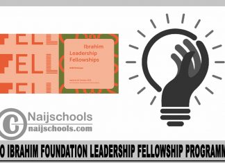 Mo Ibrahim Foundation Leadership Fellowship Programme