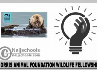 Morris Animal Foundation Wildlife Fellowship