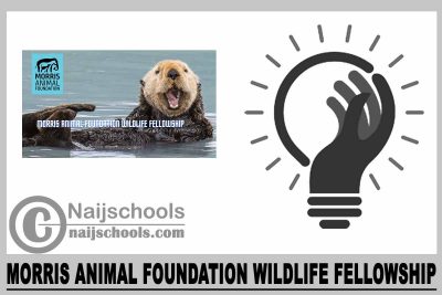 Morris Animal Foundation Wildlife Fellowship