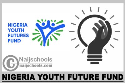 Nigeria Youth Future Fund 2023