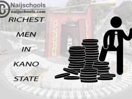 Top 13 Richest Men in Kano State Nigeria 2023/2024