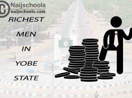 Top 13 Richest Men in Yobe State Nigeria 2023/2024
