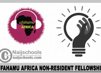 Ufahamu Africa Non-Resident Fellowship