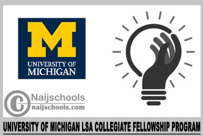University of Michigan LSA Collegiate Fellowship Program